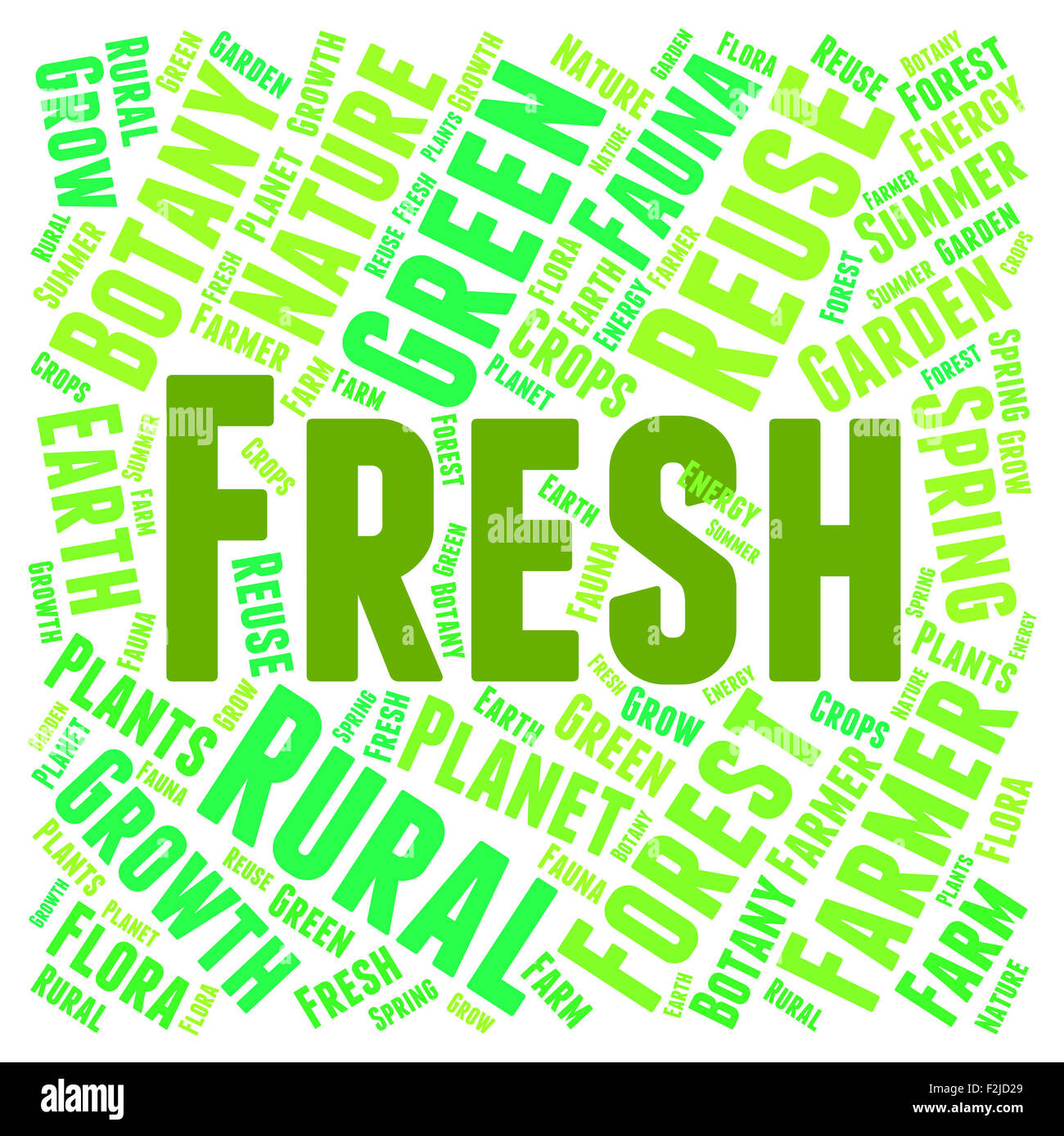 Fresh text. Fresh слово. Текст песни фреш. Фреш слова. Фреш слово.