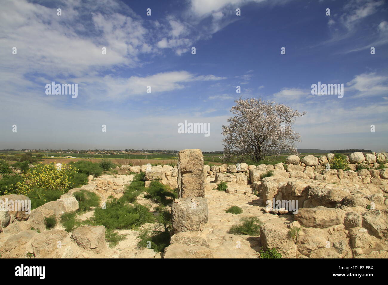 Israel, Tel Batash in the Shephelah, remain of a four room house at the Biblical city Timnah Stock Photo