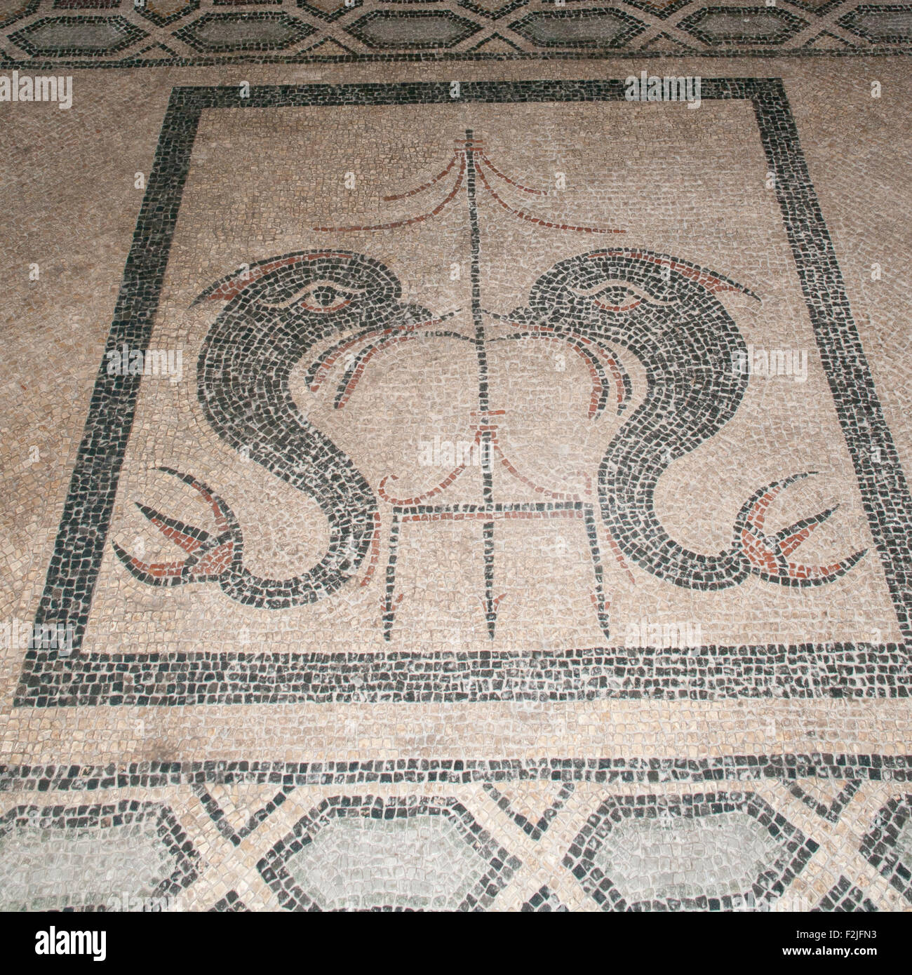 My Image 34