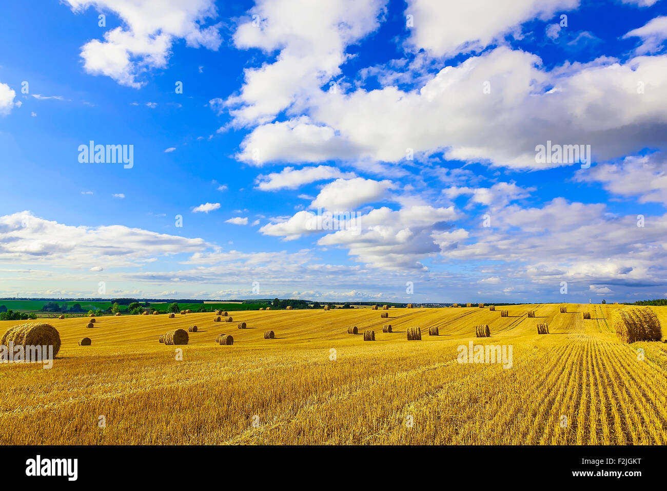 Yellow Straw Bales in a Stubble Field at end of Summer at Day with Blue ...