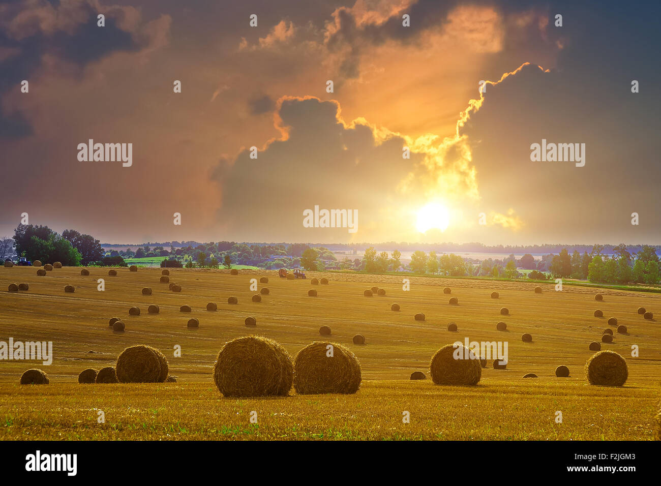 Yellow and Round Straw Bales in a Field at end of Summer at Sunset with ...