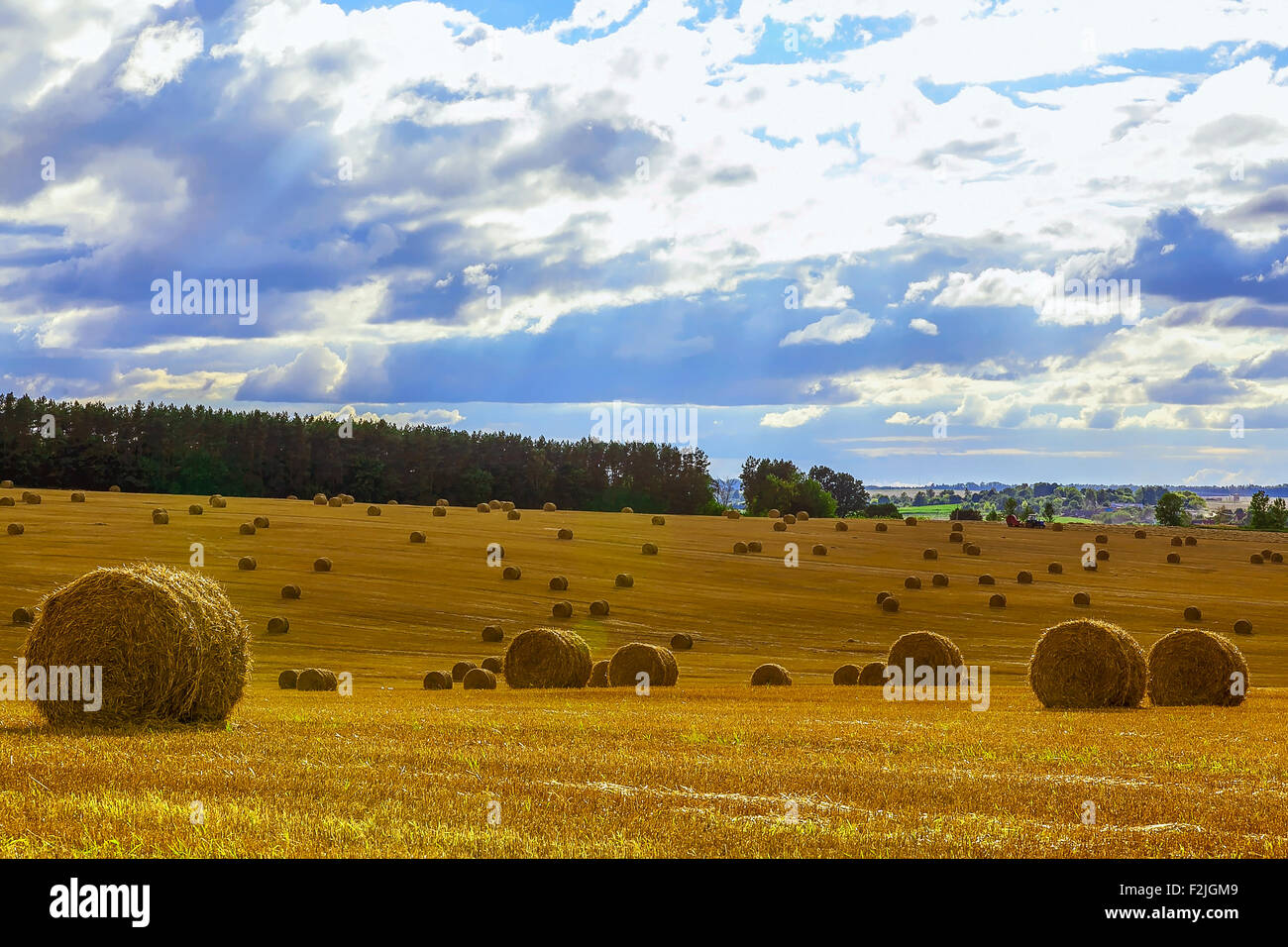 Yellow Straw Bales in a Field at end of Summer at Day with Blue Sky ...