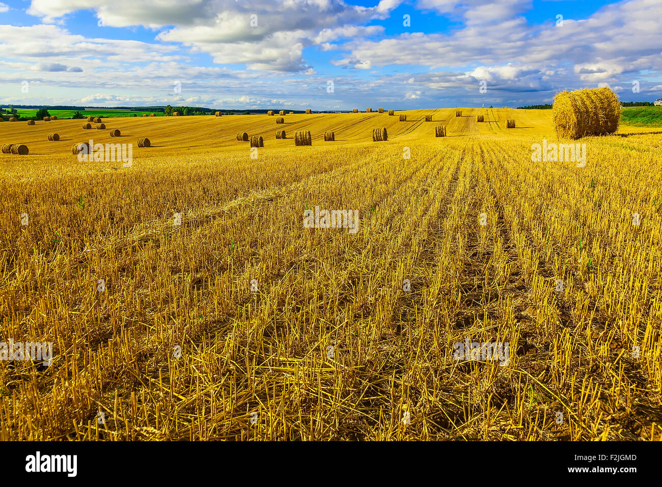 Yellow Straw Bales in a Field at end of Summer at Day with Clouds and ...