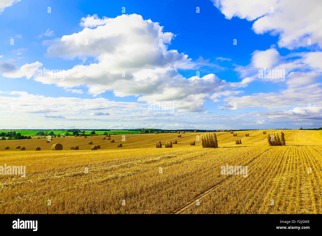 Yellow Straw Bales in a Field at end of Summer at Day with Clouds, Blue ...
