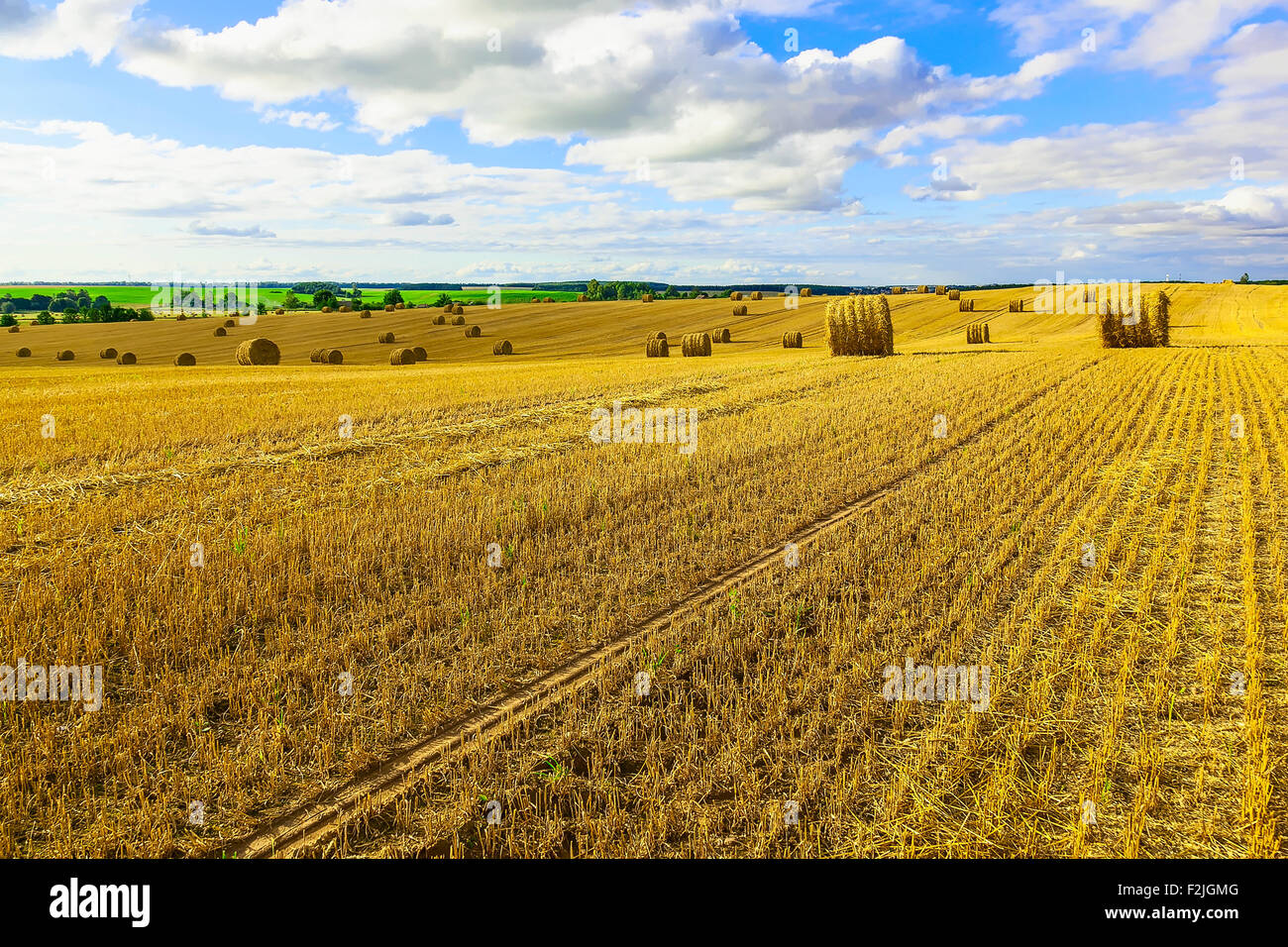 Round Straw Bales in a Stubble Field at end of Summer at Day with Blue ...