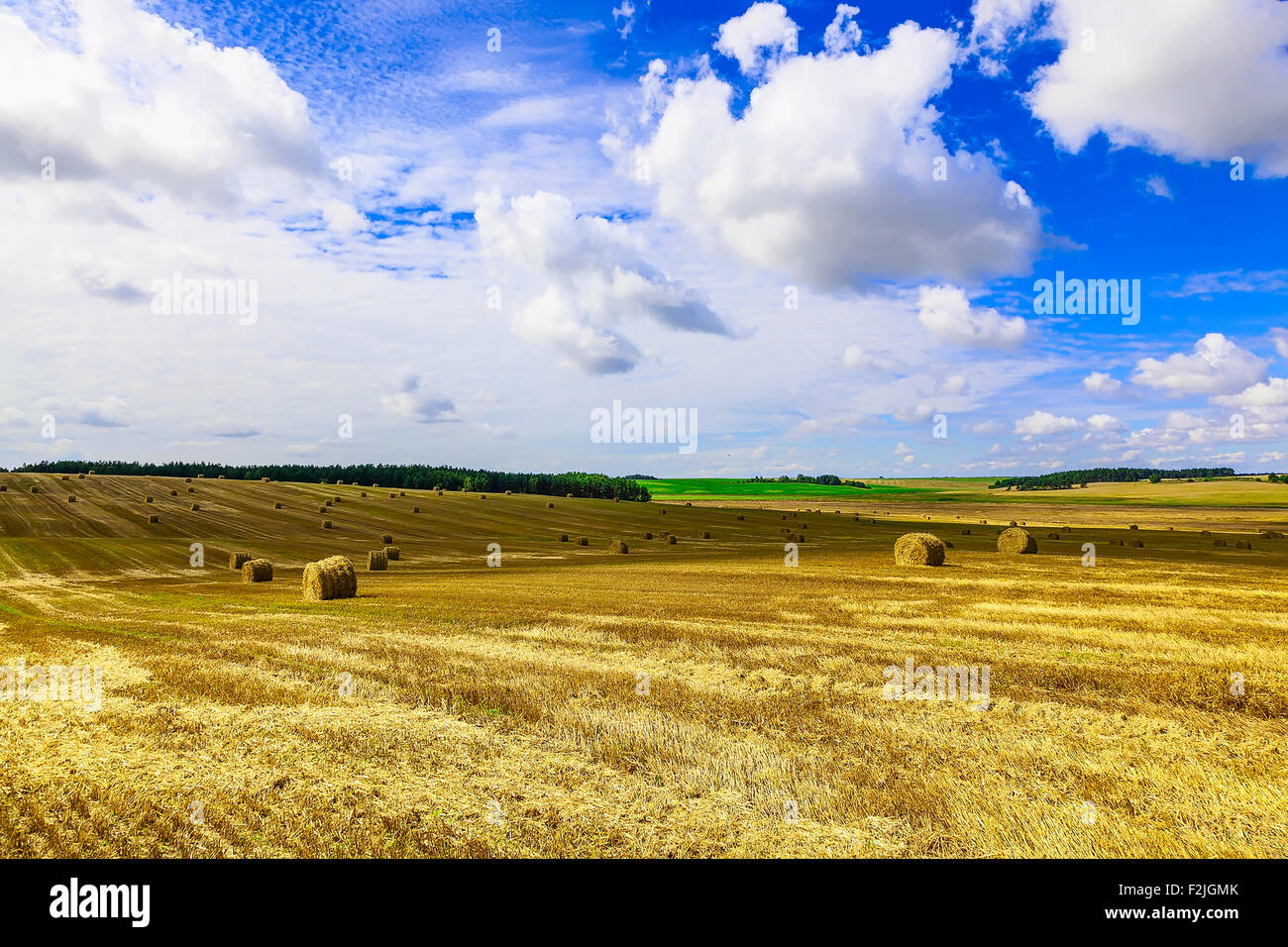 Round Straw Bales in a Stubble Field at end of Summer at Day with ...