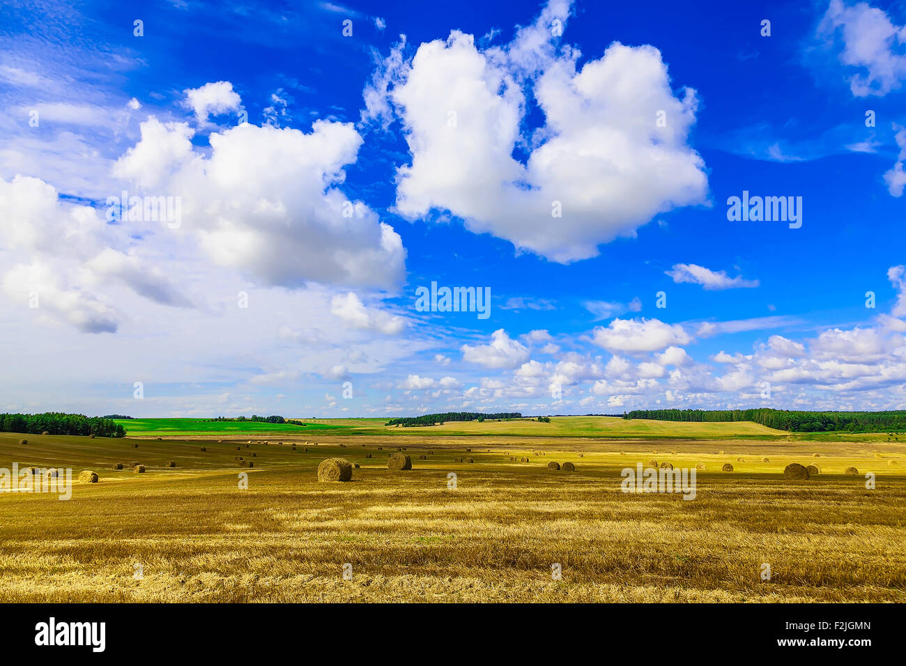 Round Straw Bales in a Stubble Field at end of Summer at Day with Blue ...