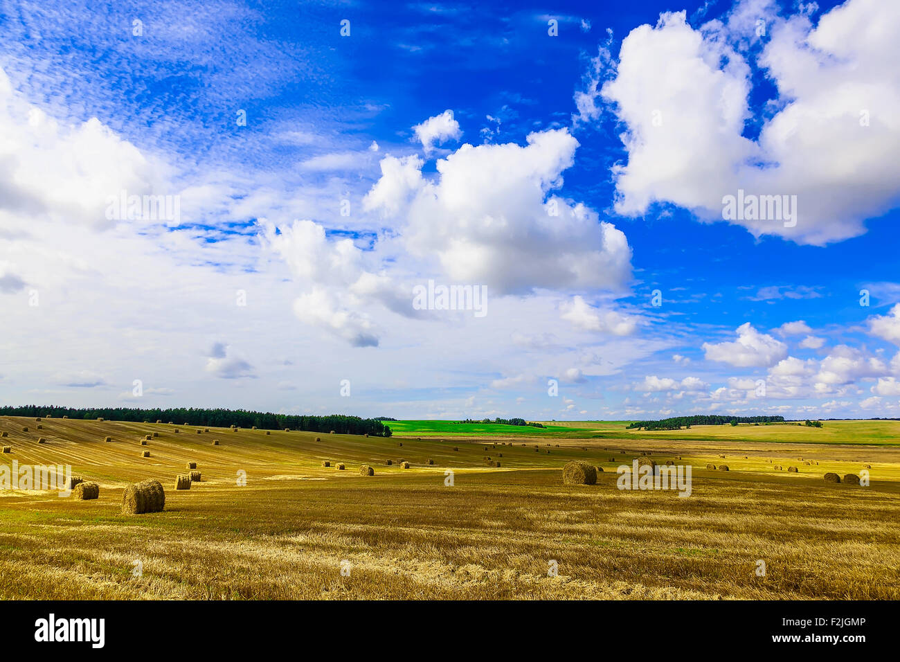 Round Straw Bales in a Stubble Field at end of Summer at Day with ...