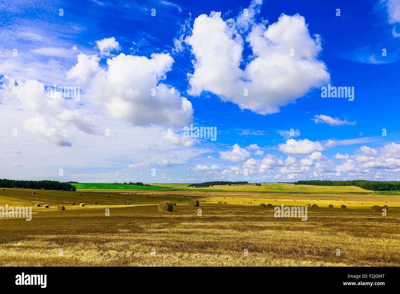 Round Straw Bales in a Stubble Field at end of Summer at Day with ...