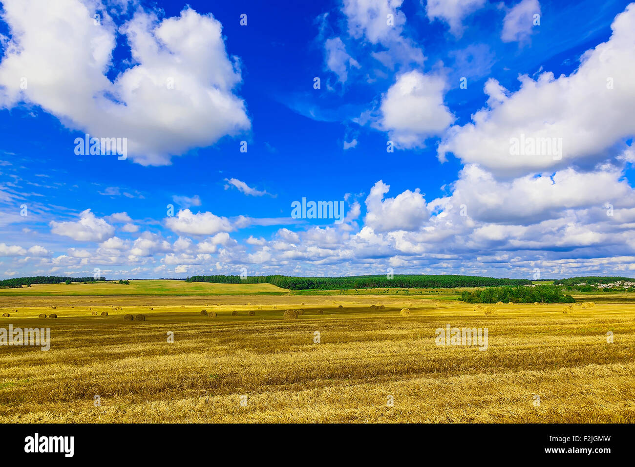 Round Straw Bales in a Field at end of Summer at Day with Blue Sky ...