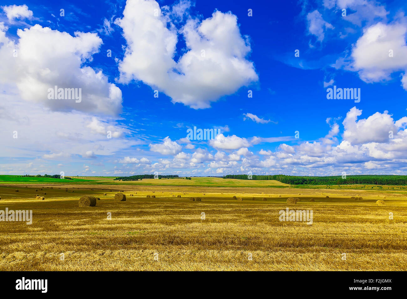 Round Straw Bales in a Field at end of Summer at Day with Clouds after ...