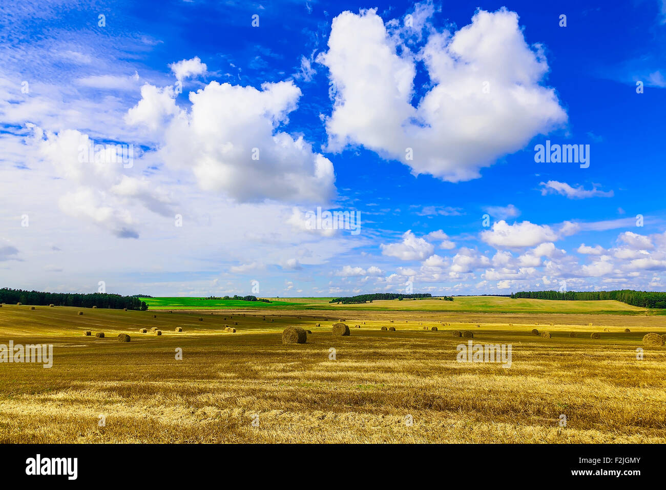 Round Straw Bales in a Field at end of Summer at Day with Blue Sky ...