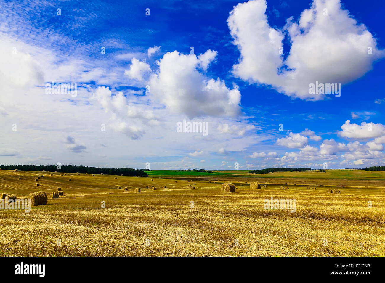 Round Straw Bales in a Field at end of Summer at Day with Clouds and ...