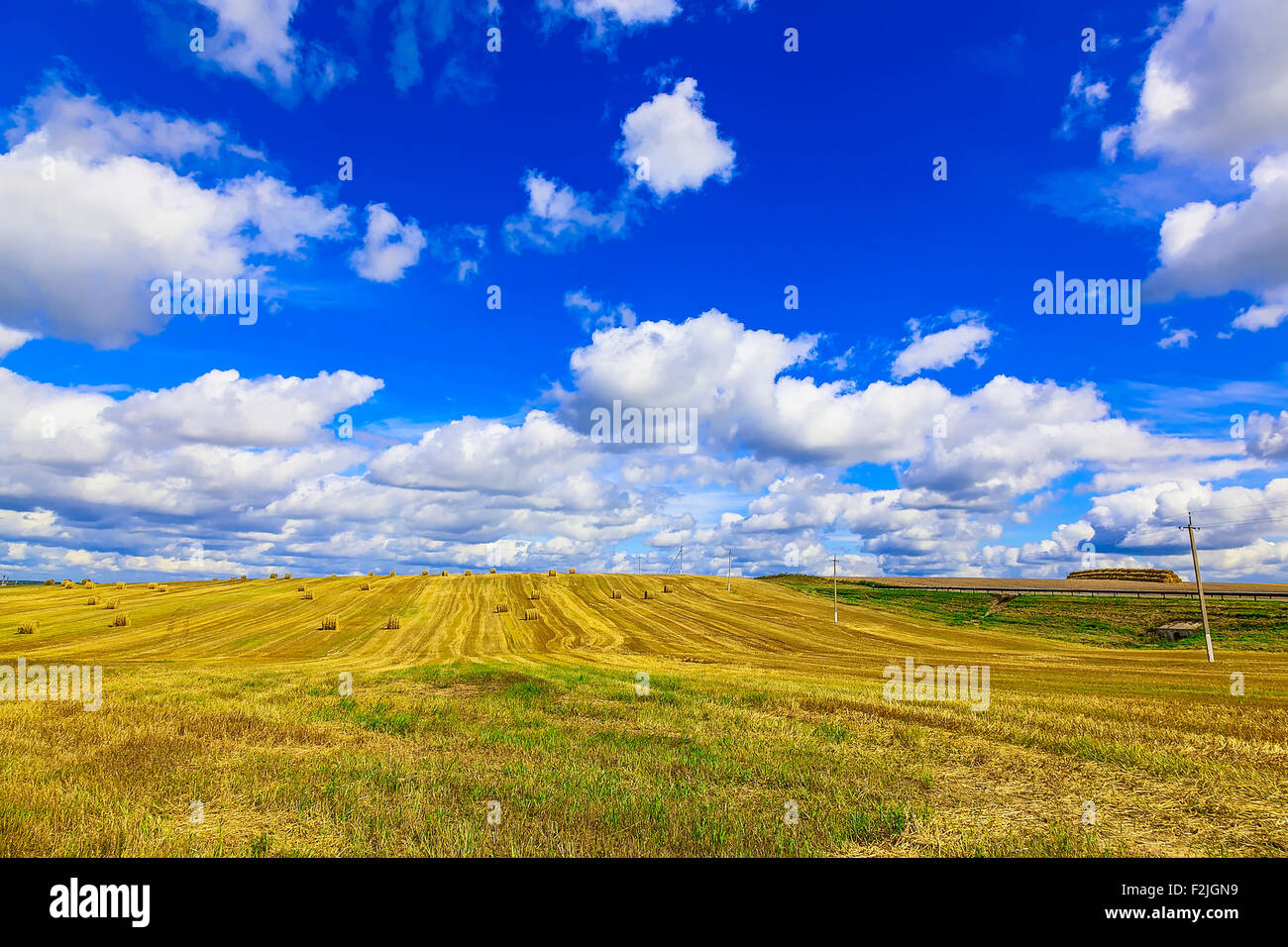Yellow, Round Straw Bales in a Stubble Field at end of Summer at Day ...
