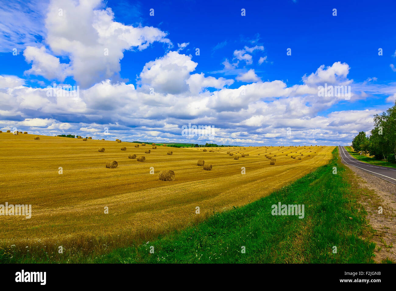 Round, Yellow Straw Bales in a Stubble Field at end of Summer at Day ...