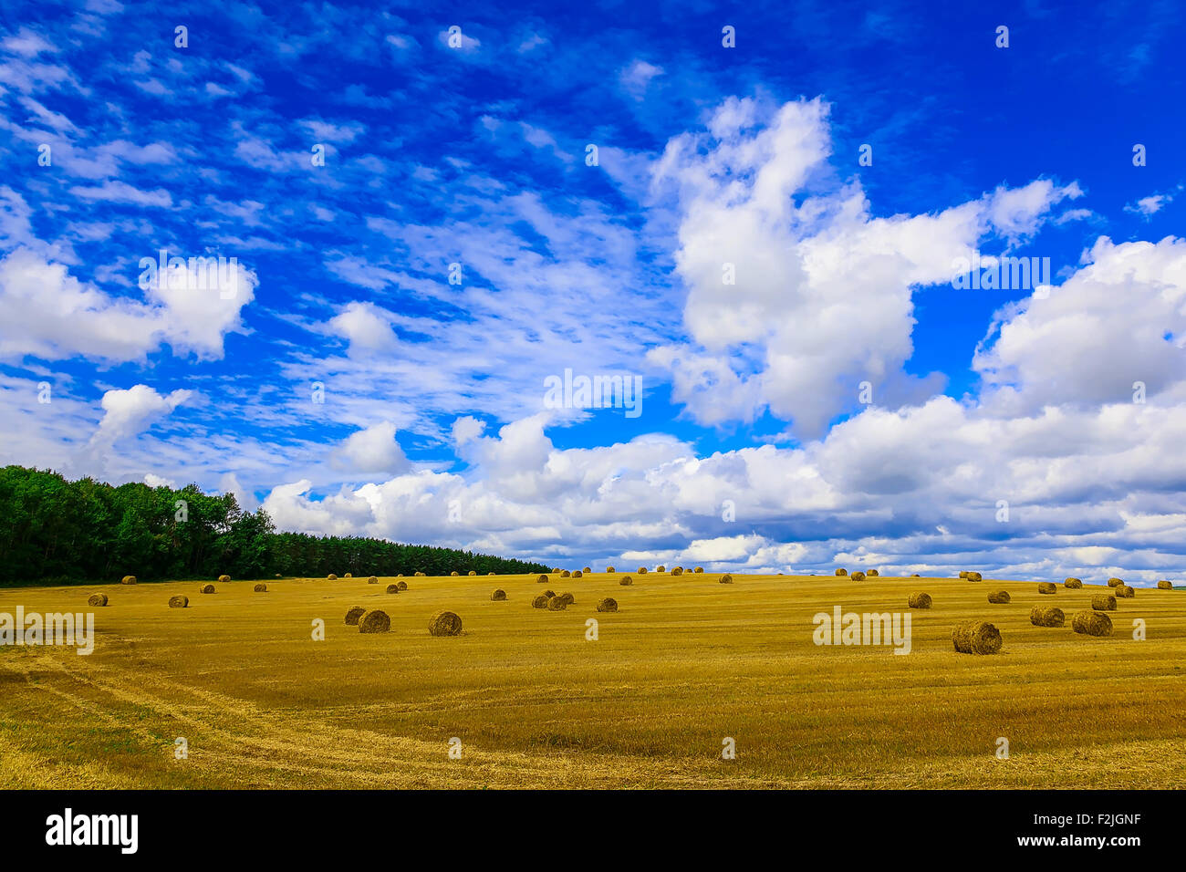 Round, Yellow Straw Bales in a Stubble Field at end of Summer at Day ...