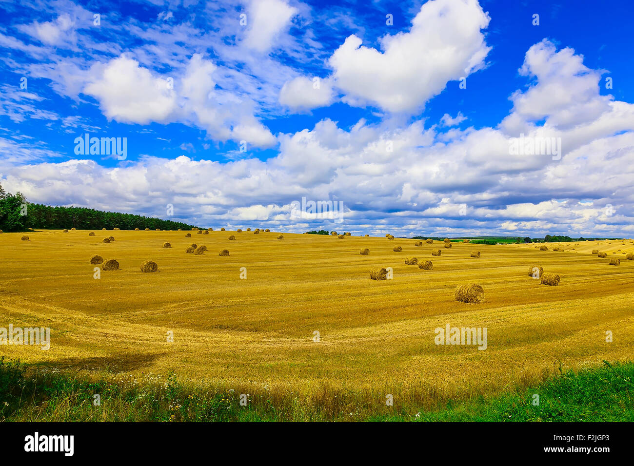 Round, Yellow Straw Bales in a Stubble Field at end of Summer at Day ...