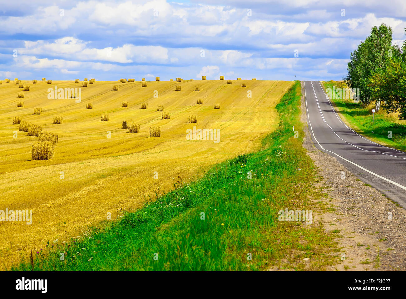 Round, Yellow Straw Bales in a Field at end of Summer at Day with Blue ...