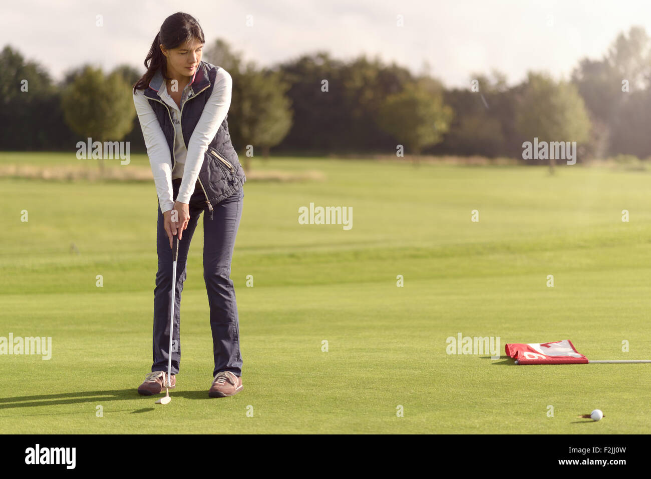 Attractive female golfer putting for the hole on the green using a putter and watching the golf ball roll towards the cup Stock Photo