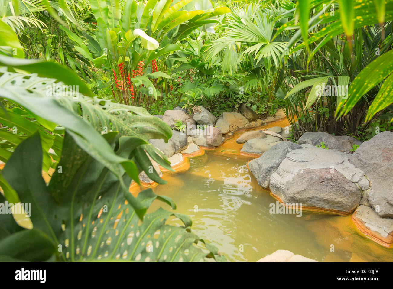 Thermal springs in Costa Rica at the base of Arenal Volcano Stock Photo