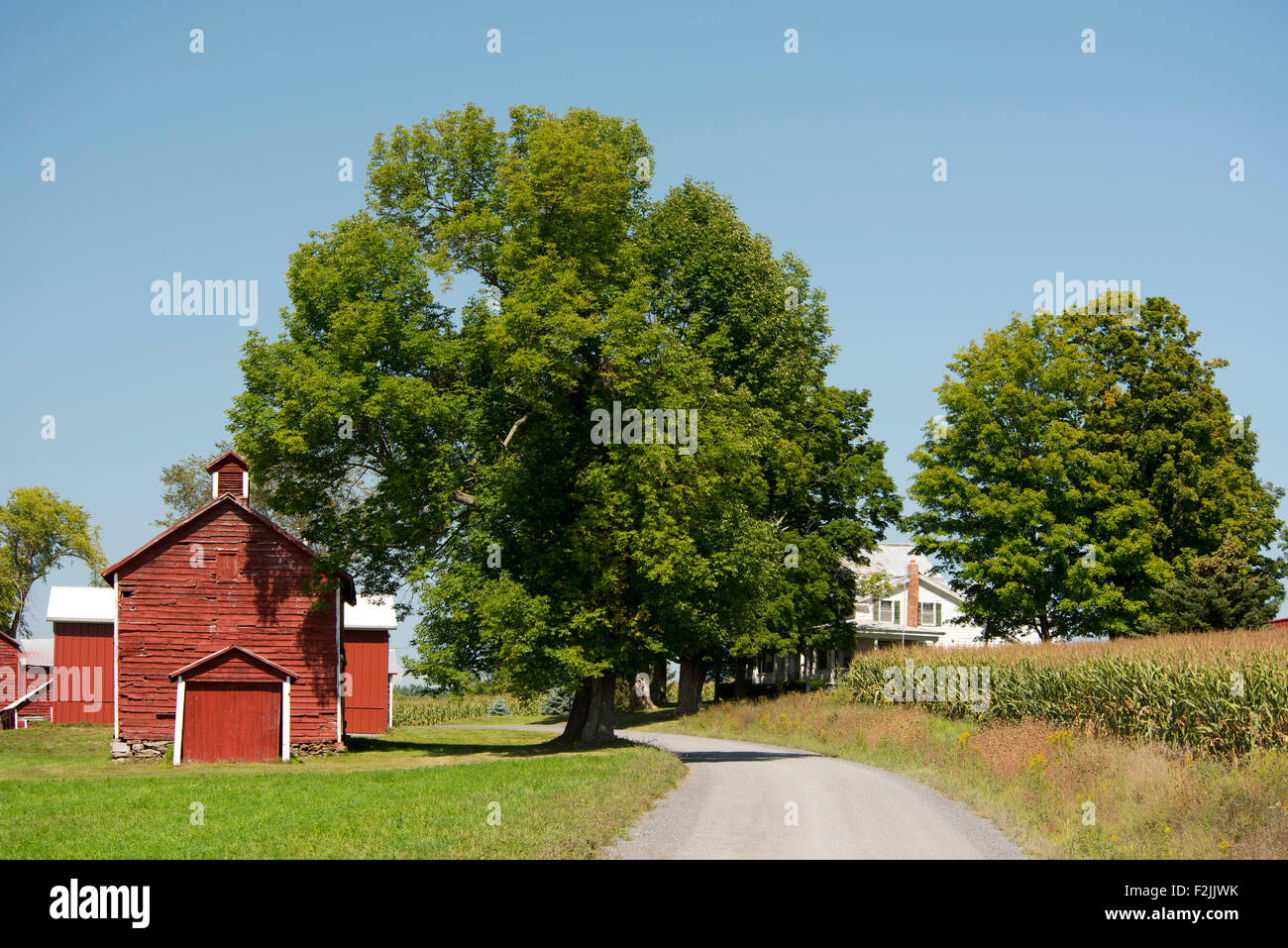 180+ Upstate House Stock Photos, Pictures & Royalty-Free Images
