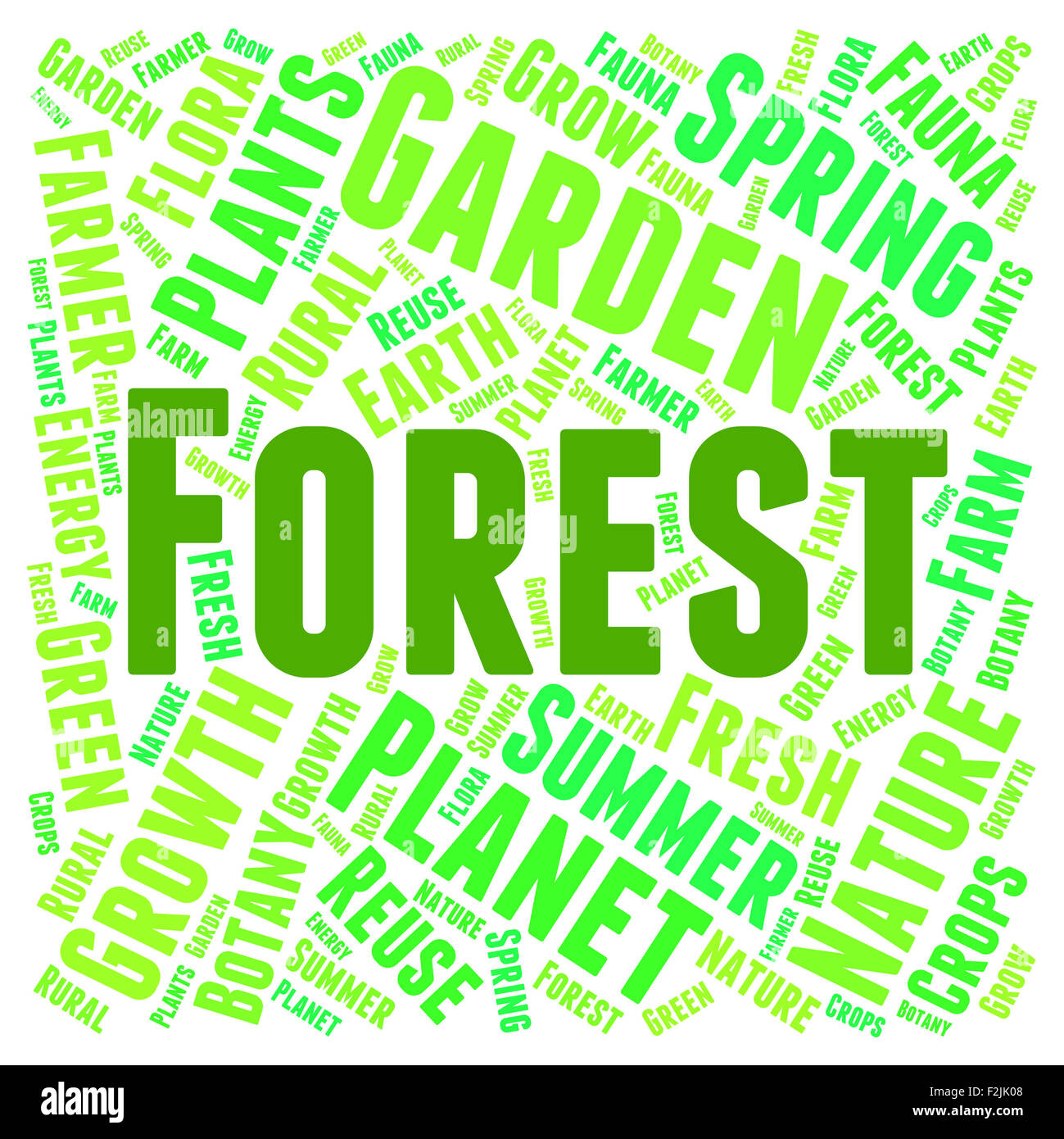 Forest Word Representing Woods Copse And Woodlands Stock Photo