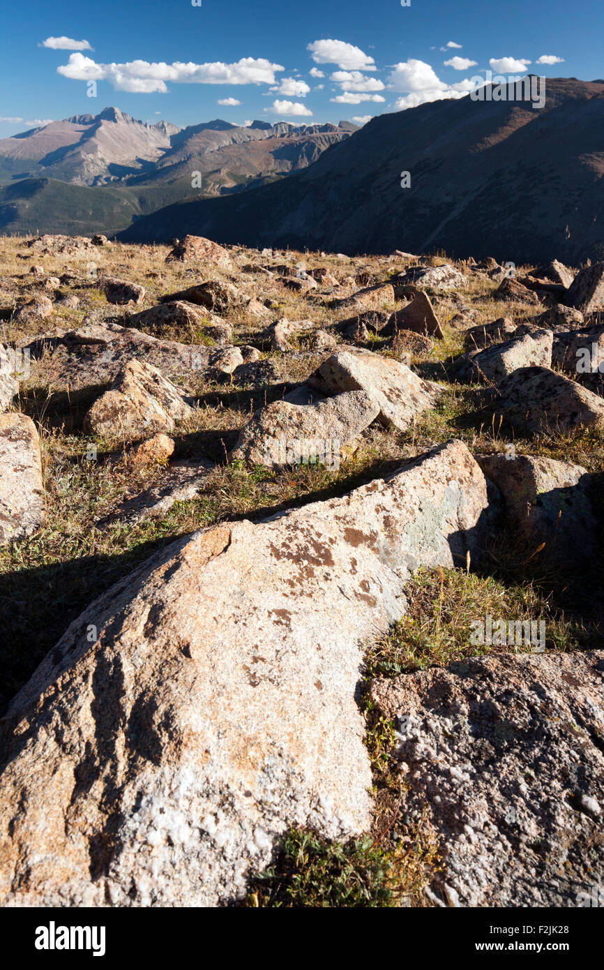 Alpine Tundra Habitat - Trail Ridge Road - Rocky Mountain National Park, near Estes Park, Colorado USA Stock Photo