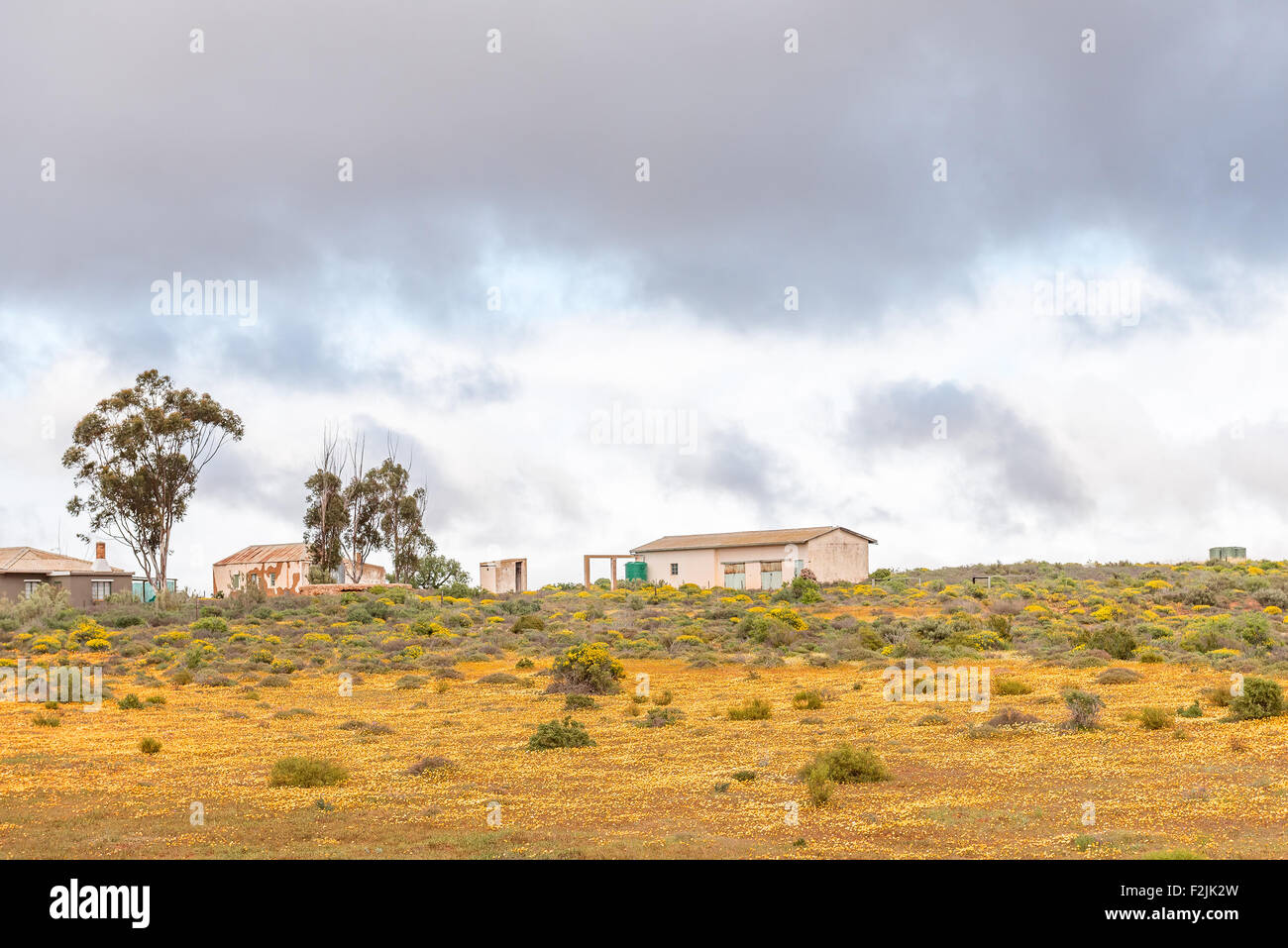 Lutzville hires stock photography and images Alamy