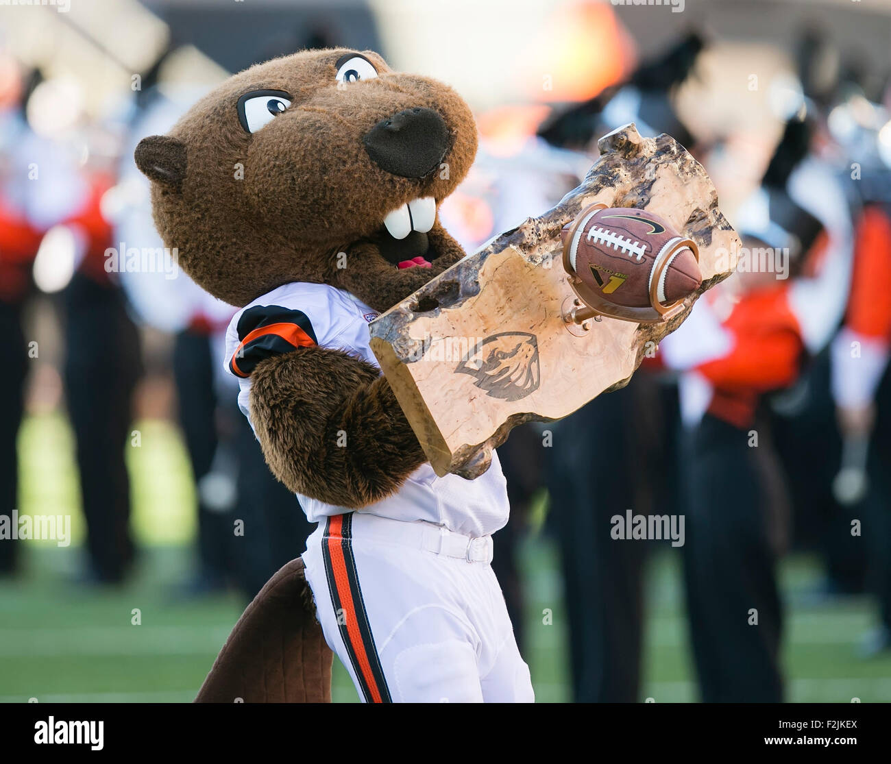 September 19, 2015: Oregon State Beavers mascot Benny the Beaver prior to the NCAA Football game between the Oregon State Beavers and the San Jose State Spartans at Reser Stadium in Corvallis, OR. Oregon State leads San Jose State 35-21 in the 4th quarter. Damon Tarver/Cal Sport Media Stock Photo