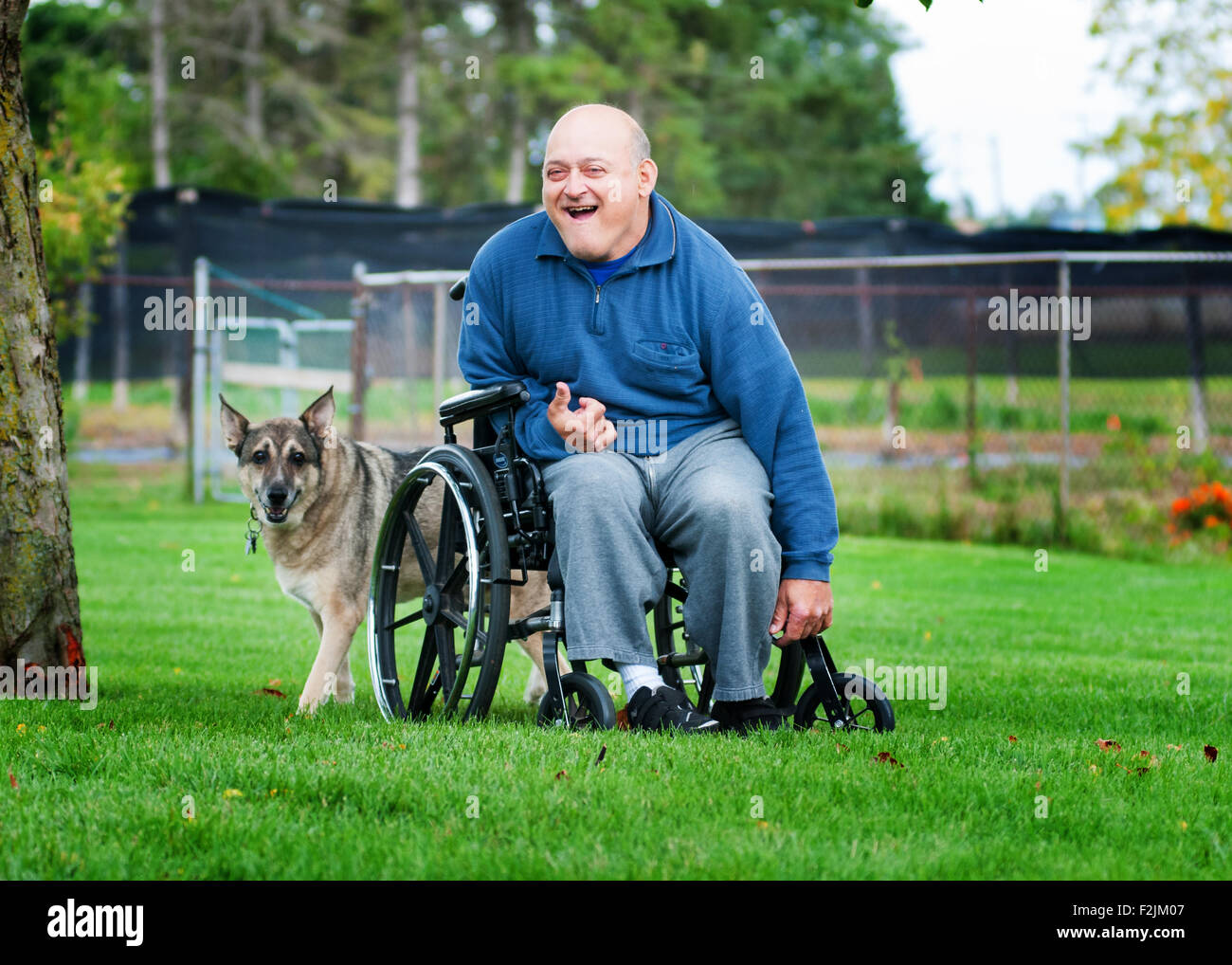 man outdoors in a wheelchair with his dog Stock Photo - Alamy