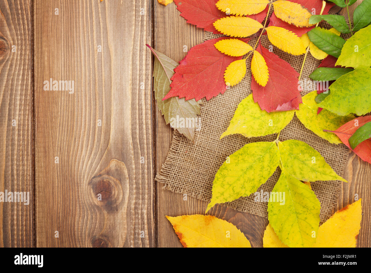 Colorful autumn leaves on wooden background with copy space Stock Photo ...