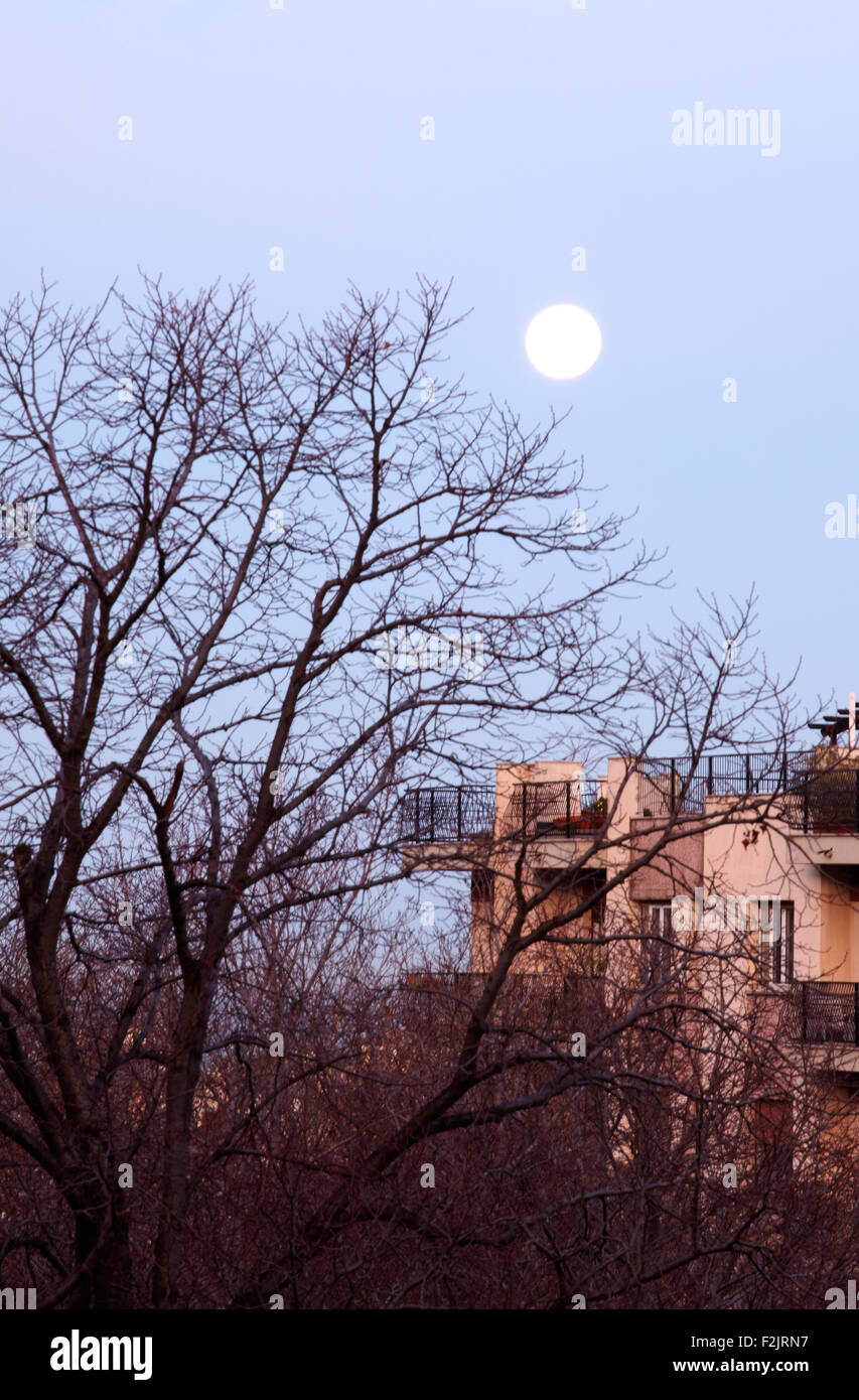 Photo of sky with moon on building and trees Stock Photo - Alamy