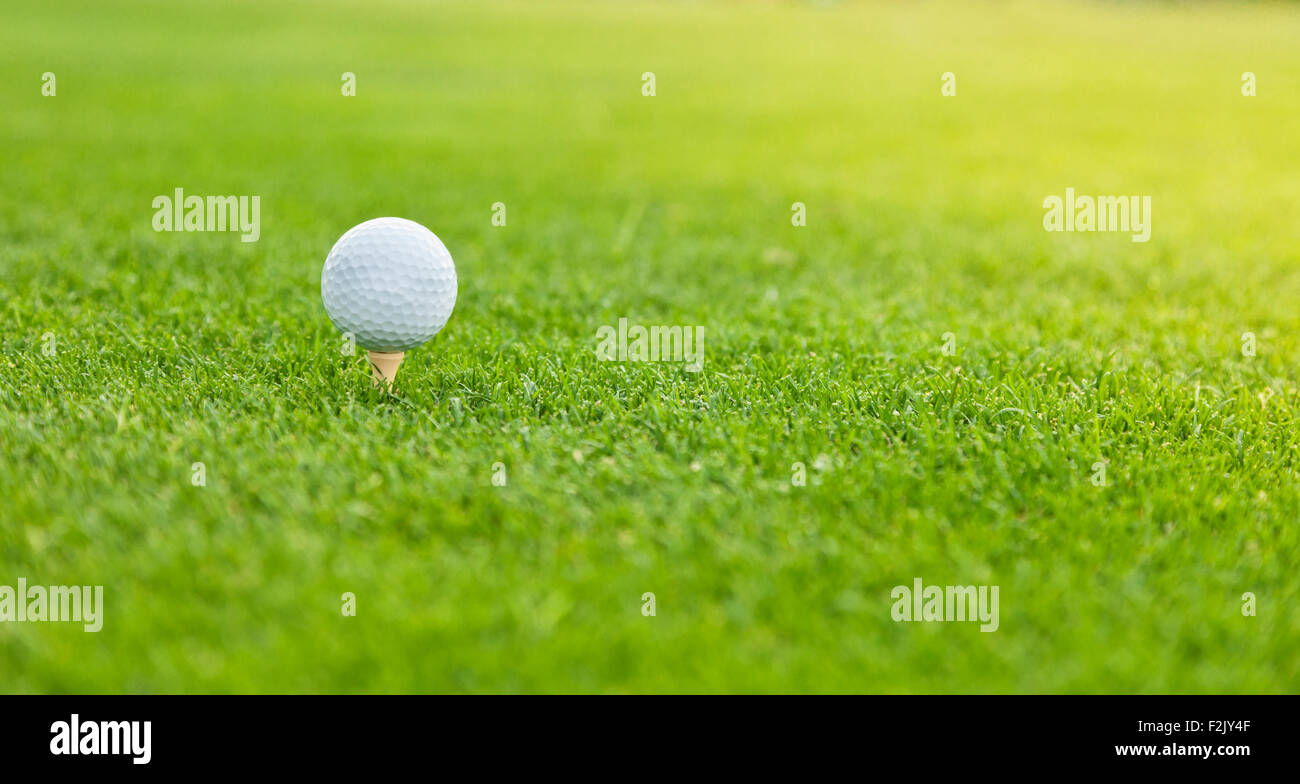 Golf ball on the green lawn Stock Photo Alamy