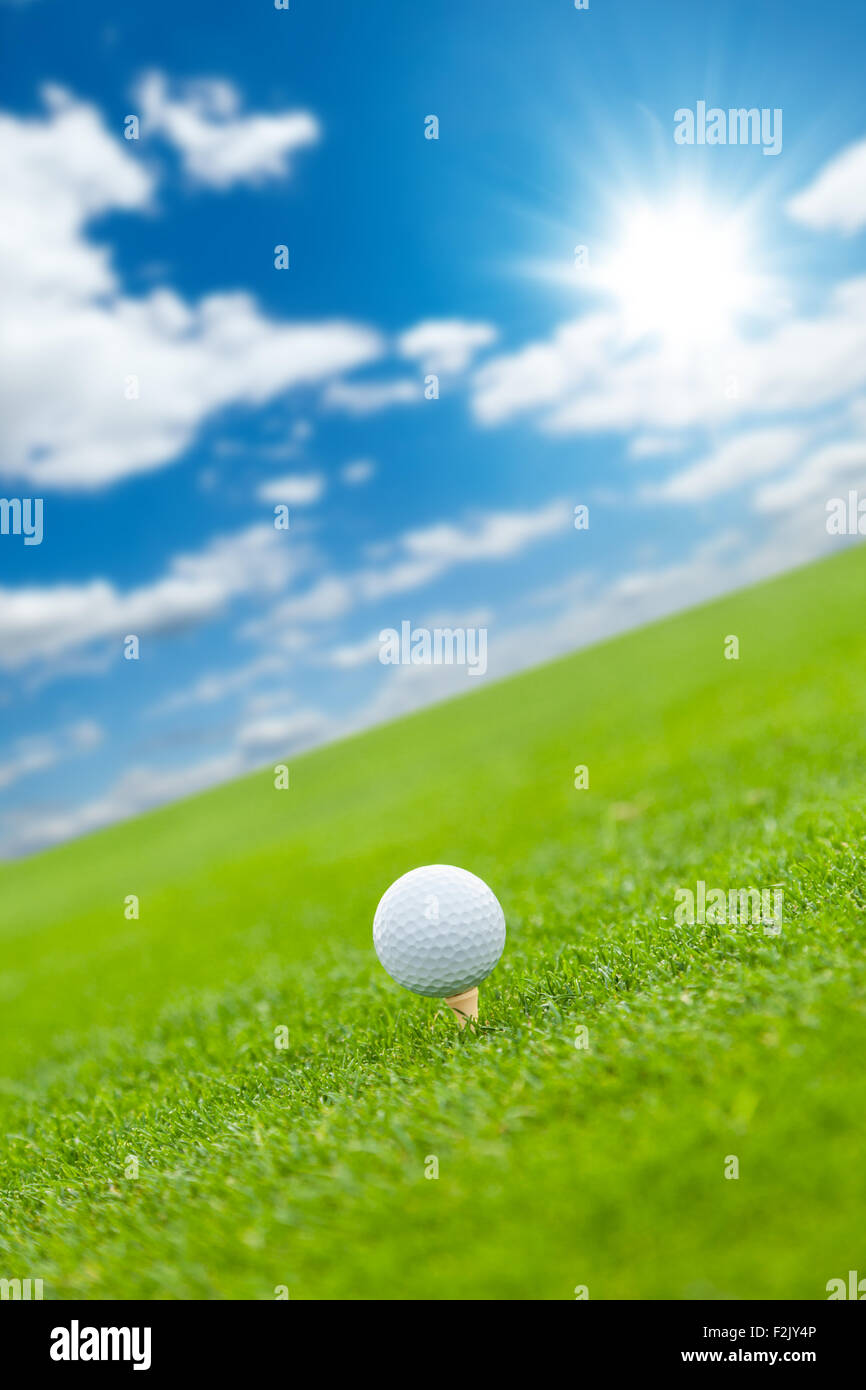 Golf ball on the green lawn Stock Photo Alamy