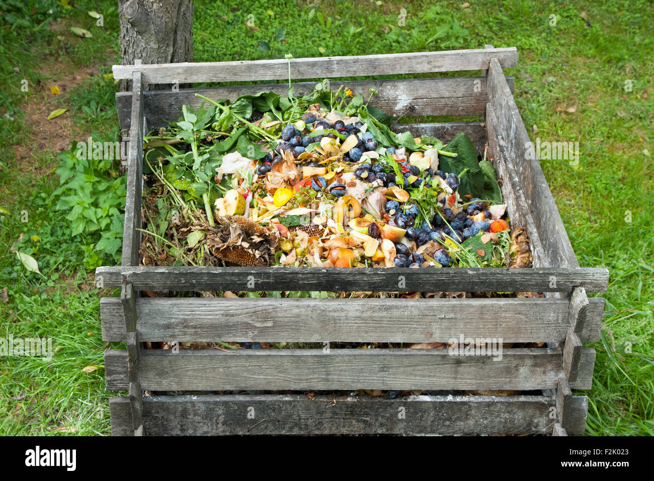 Compost bin in the garden. Composting pile of rotting kitchen fruits and vegetable scraps Stock Photo