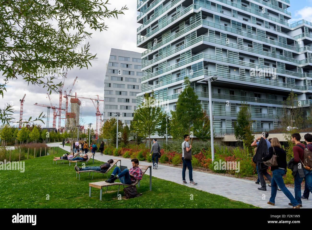 Apartment Gardening: From Balcony to Community Garden