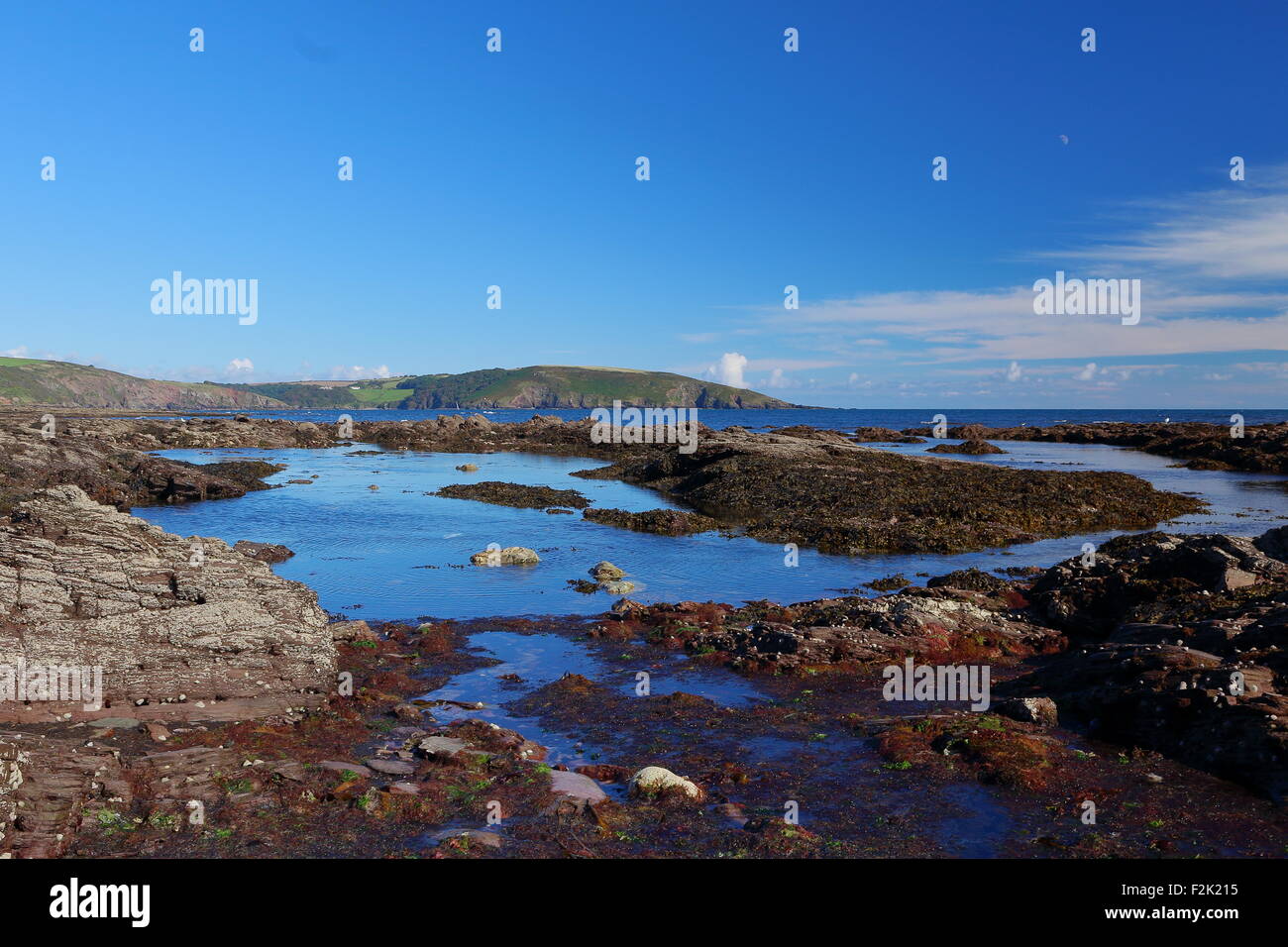 Calm Rockpool on a bright sunny day at National Trust Wembury Beach, Devonshire Coast, South West England Stock Photo