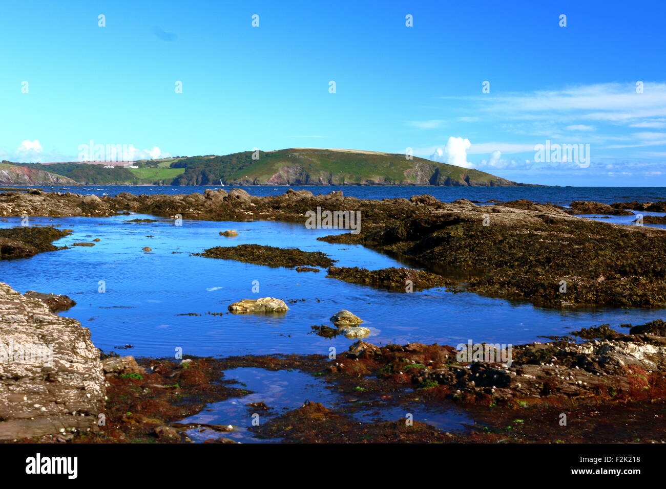 Calm Rockpool on a bright sunny day at National Trust Wembury Beach