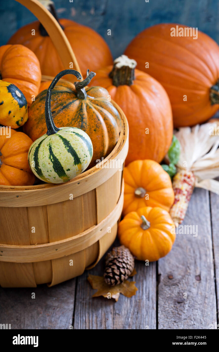 Pumpkins and variety of squash in a harvest basket Stock Photo - Alamy