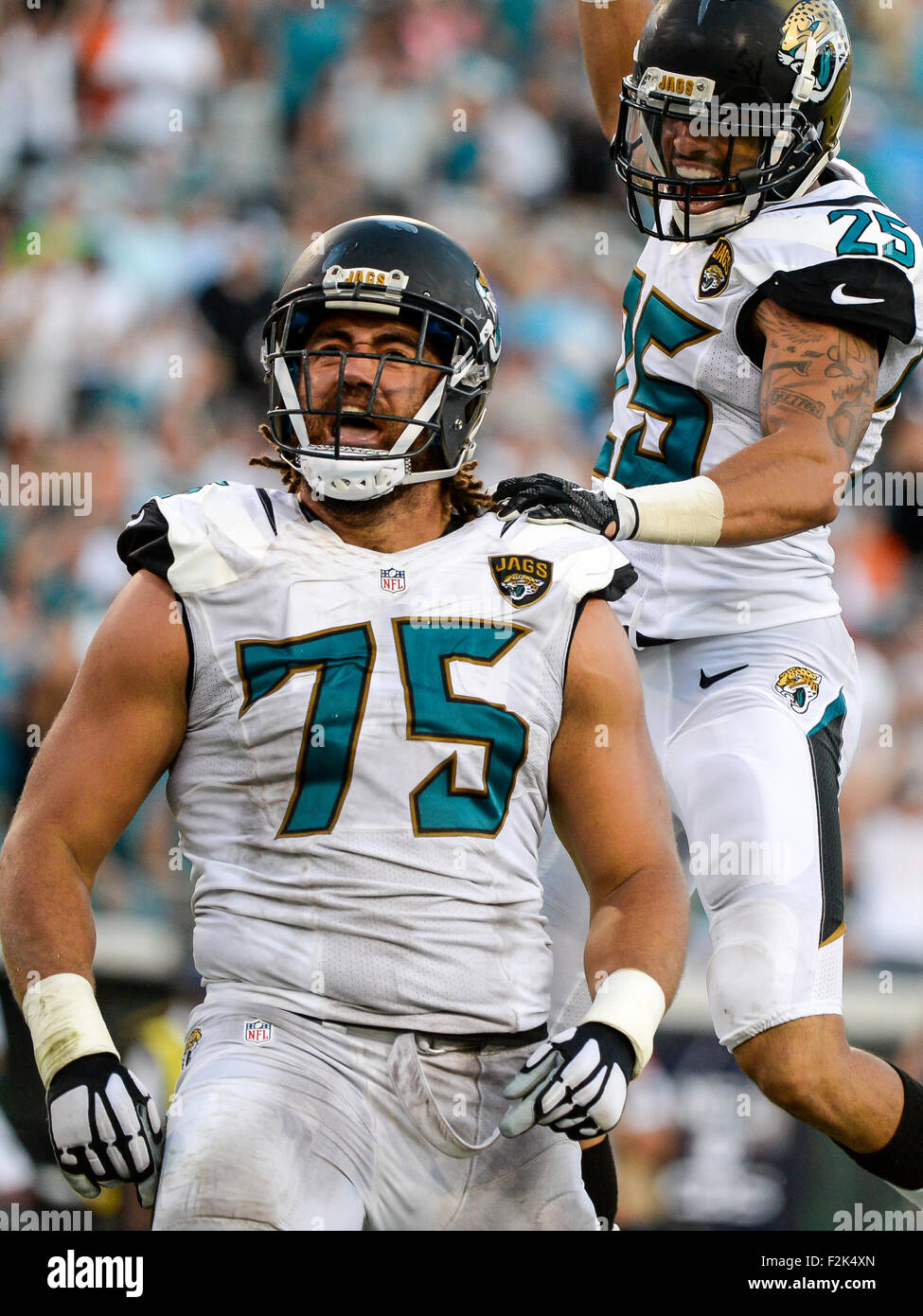 Miami Dolphins free agents 2015: Jared Odrick walk, franchise