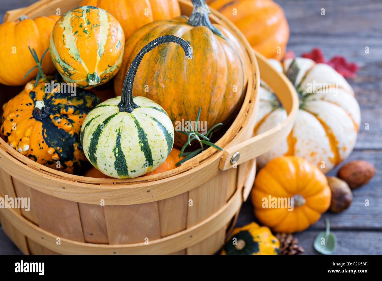 Pumpkins and variety of squash in a harvest basket Stock Photo