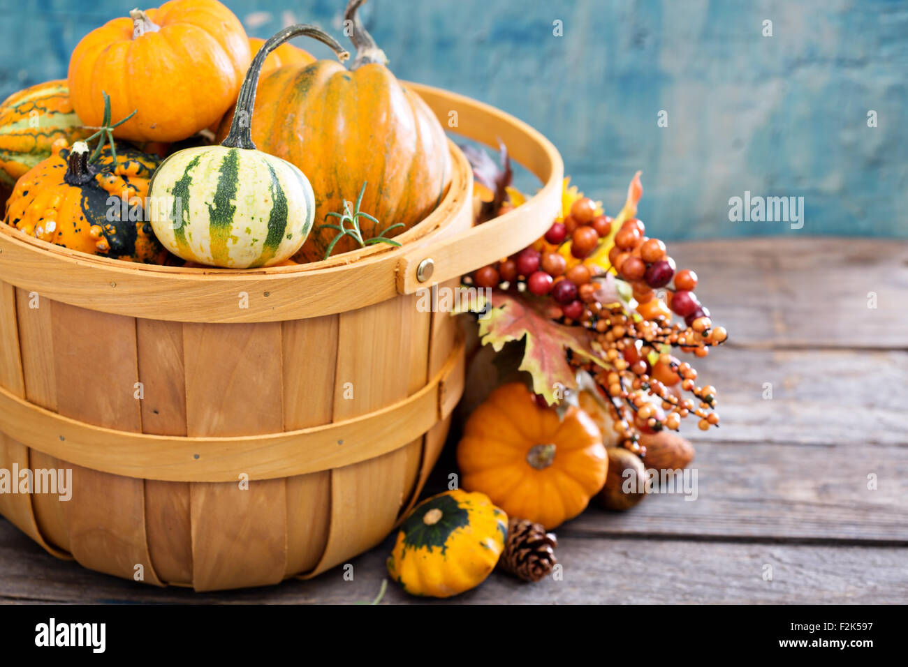 Pumpkins and variety of squash in a harvest basket Stock Photo - Alamy