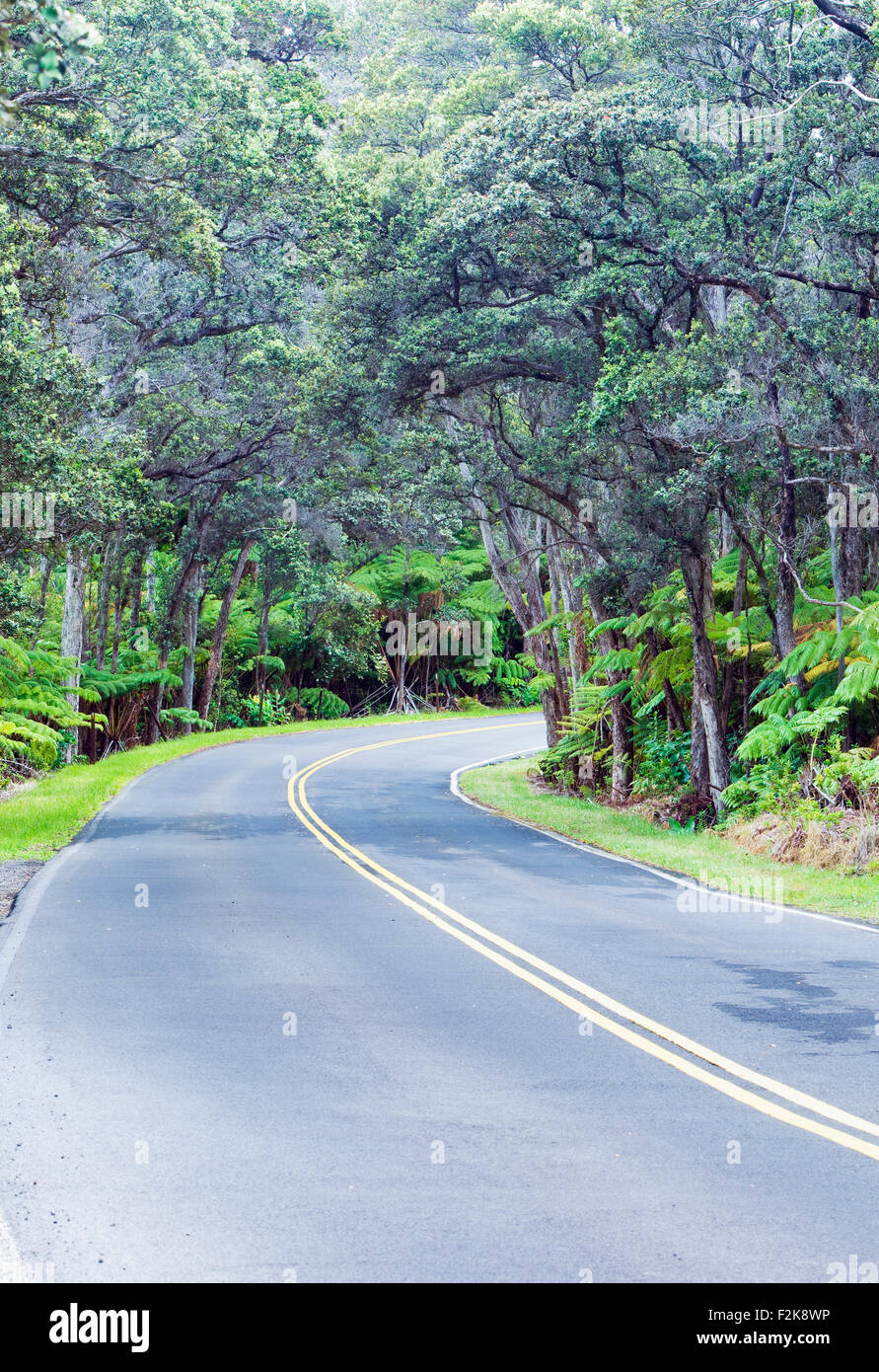 Crater Rim Drive in Volcanoes National Park, Hawaii Stock Photo