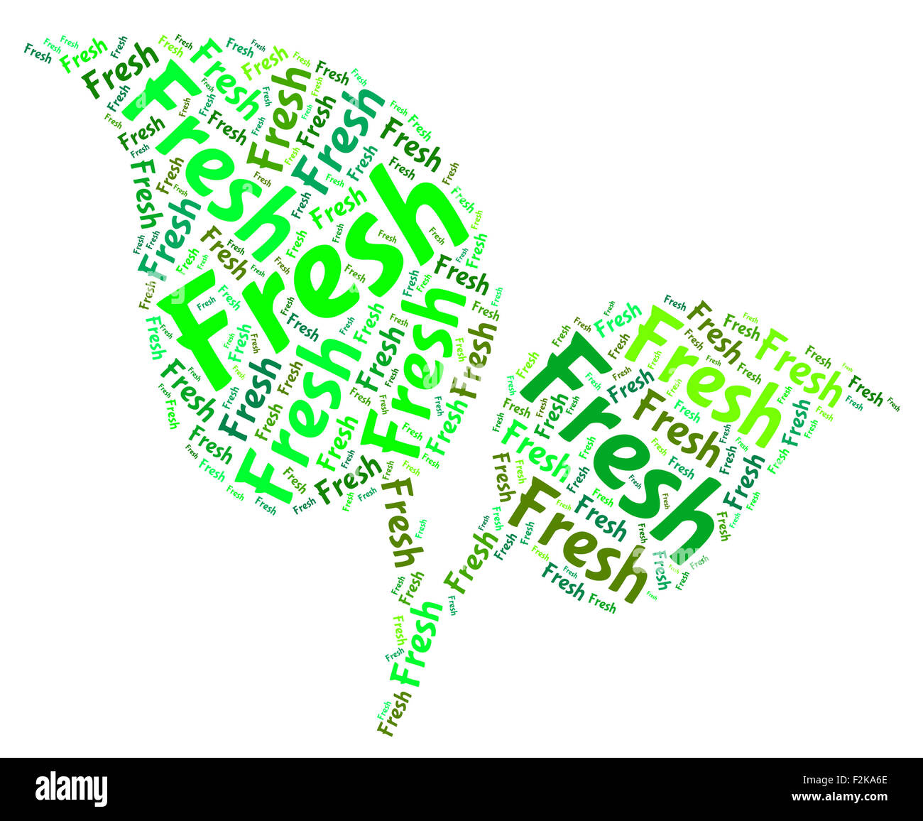 Fresher Cut Out Stock Images & Pictures Alamy