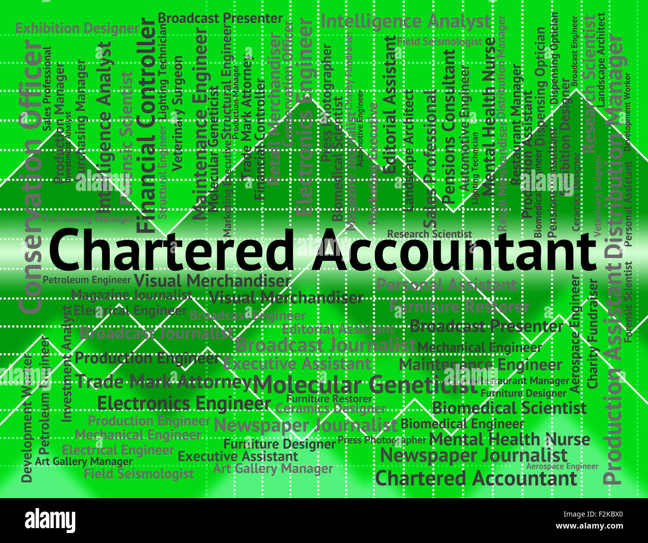 Chartered Accountant Singh Dharmendra  co