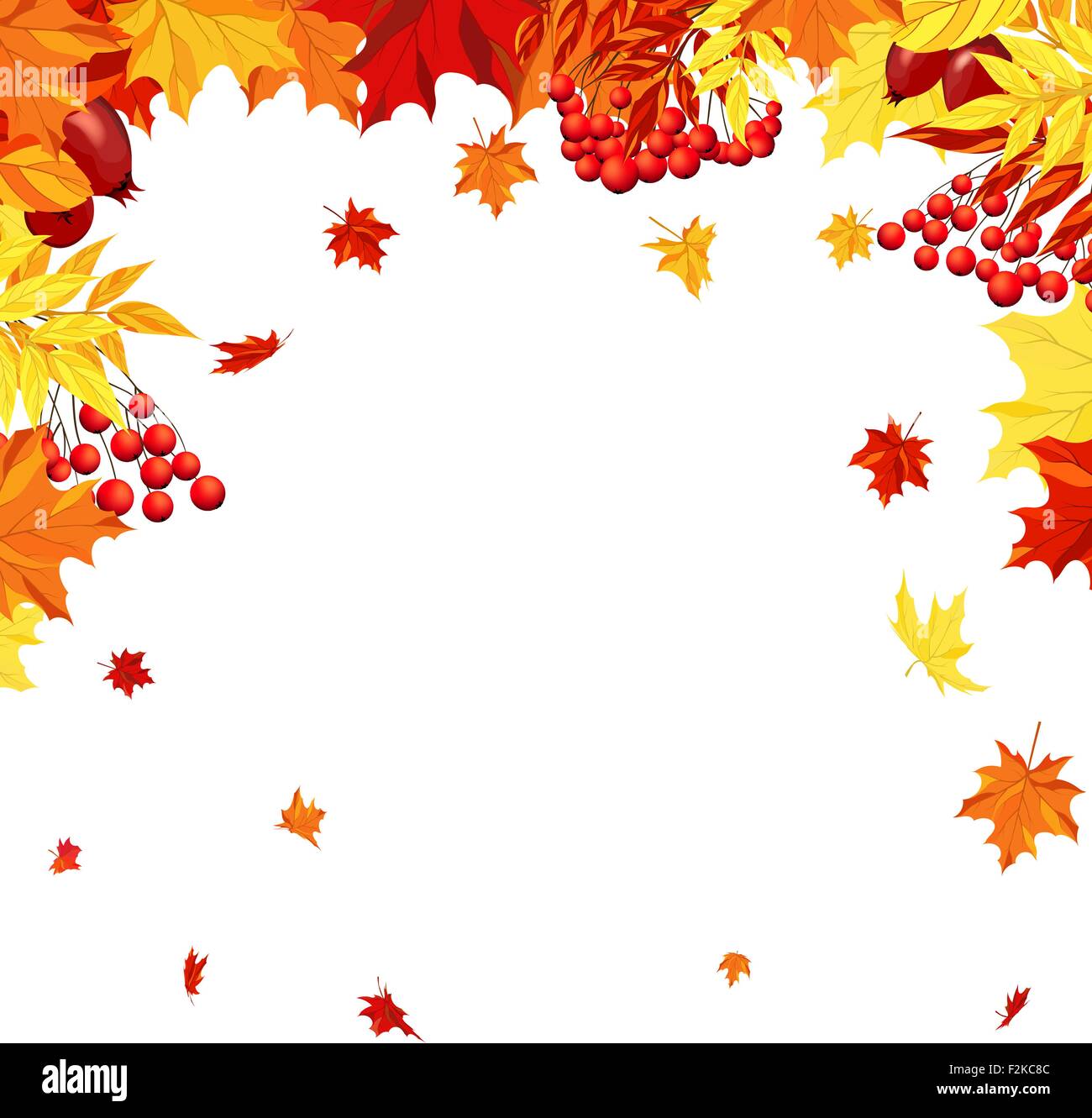 Autumn Frame With Maple, Rowan and Dog Rose Leaves and Berries Over ...
