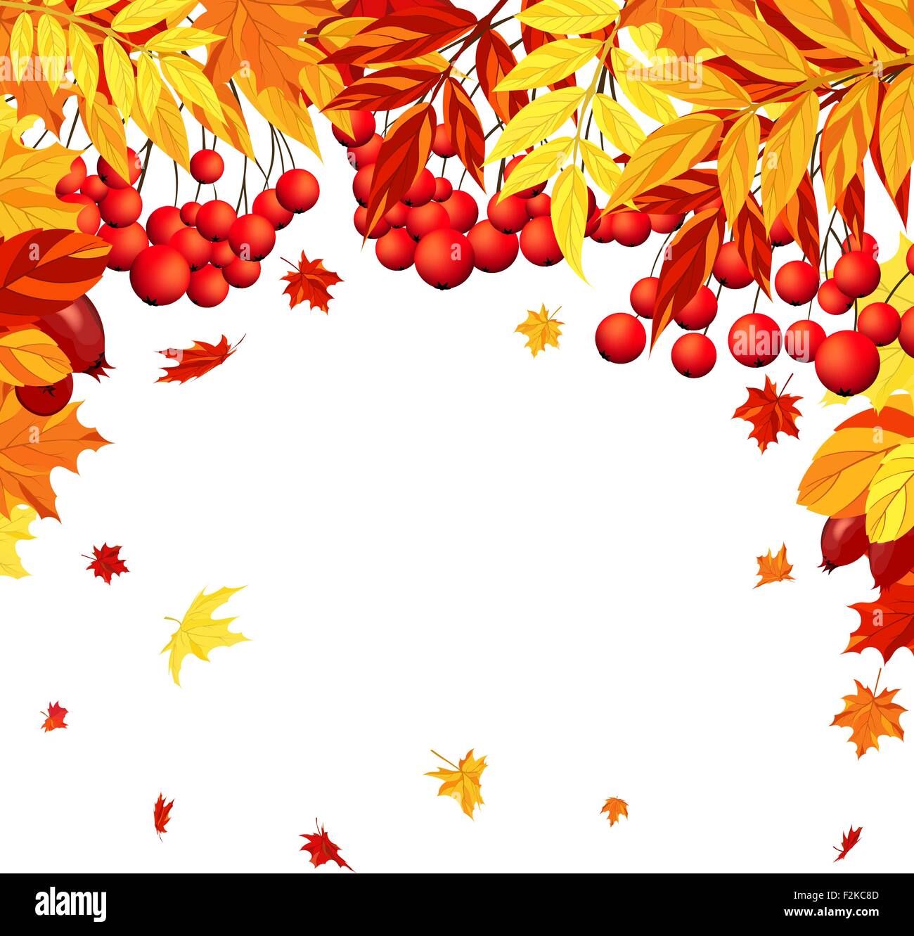 Autumn Frame With Maple, Rowan and Dog Rose Leaves and Berries Over ...