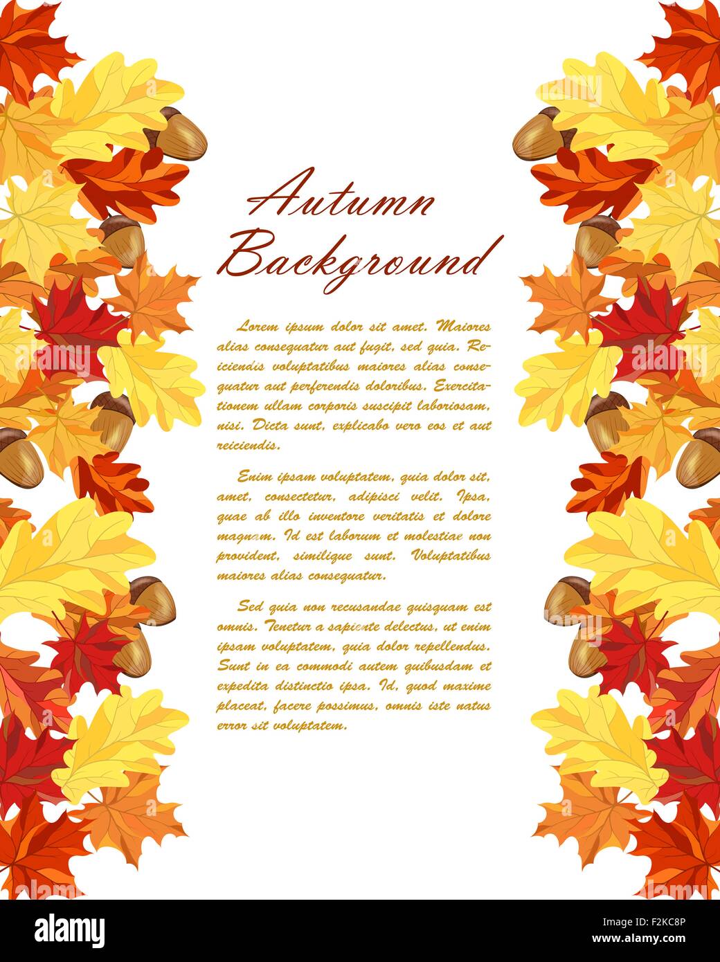 Autumn Frame With Maple and Oak Leaves and Berries Over White ...