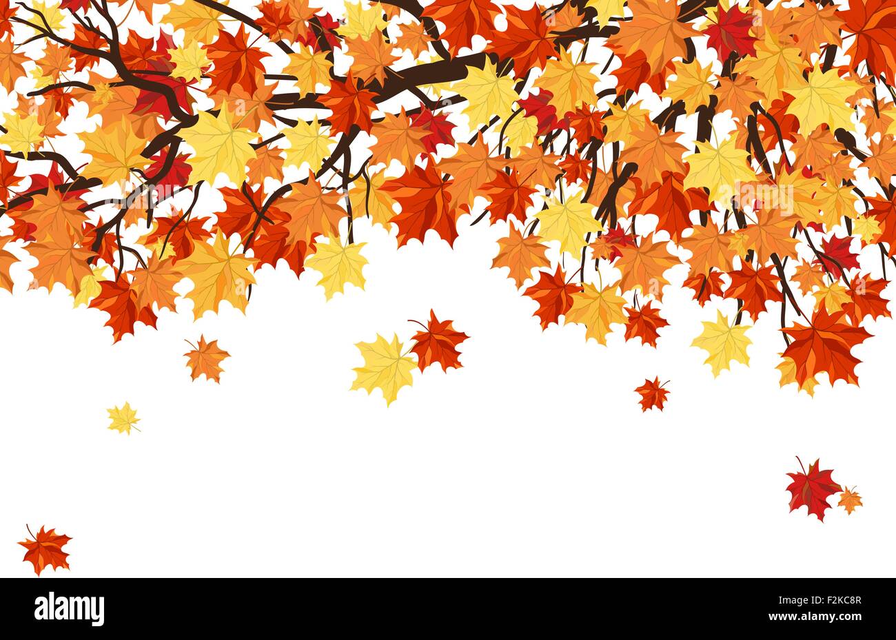 Autumn Frame With Maple Tree Branches and Leaves Over White Background ...