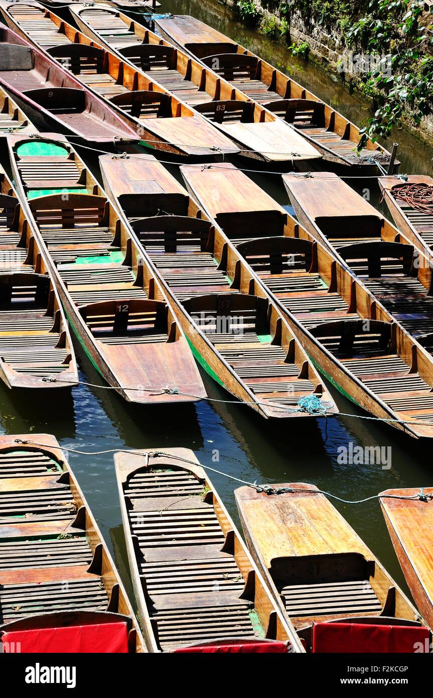 Punts moored along the river Cherwell, Oxford, Oxfordshire, England, UK, Western Europe. Stock Photo